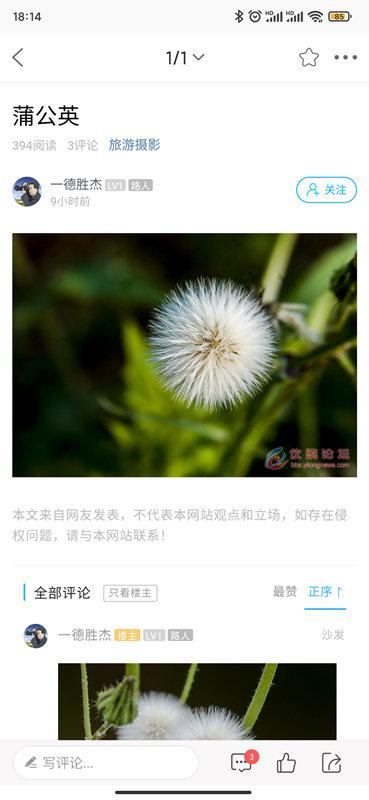 智慧仪陇客户端下载,智慧仪陇,融媒体app,仪陇app